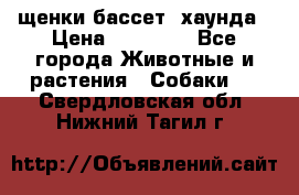 щенки бассет- хаунда › Цена ­ 20 000 - Все города Животные и растения » Собаки   . Свердловская обл.,Нижний Тагил г.